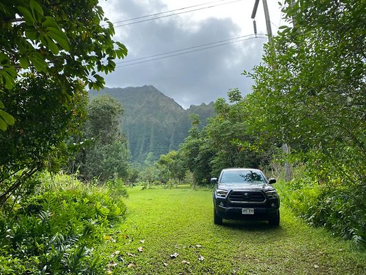 th IMG 2463 th IMG 2463