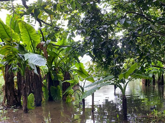 th IMG 2605 IMG 2610 th IMG 2605 IMG 2610