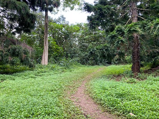 th IMG 2601 th IMG 2601