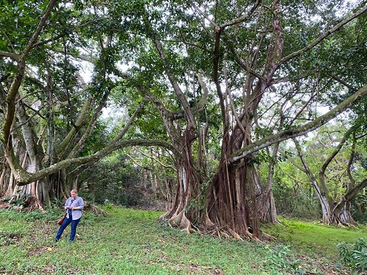 th IMG 3109 th IMG 3109