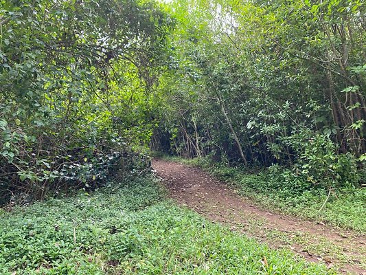 th IMG 2470 th IMG 2470