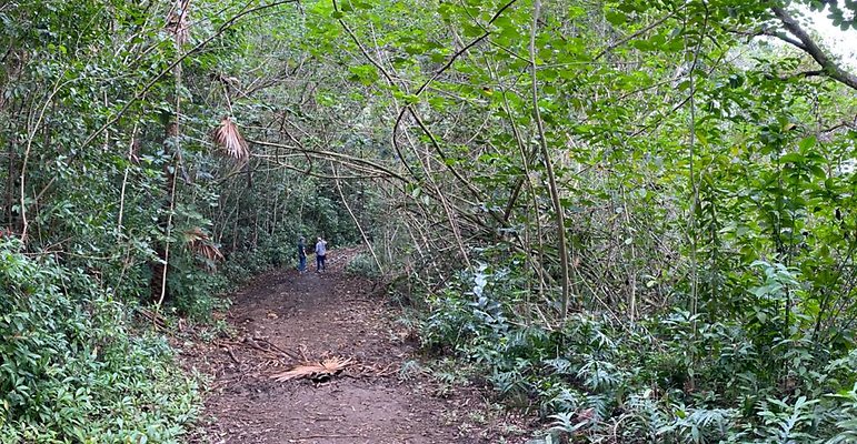 th IMG 2497 IMG 2498 th IMG 2497 IMG 2498