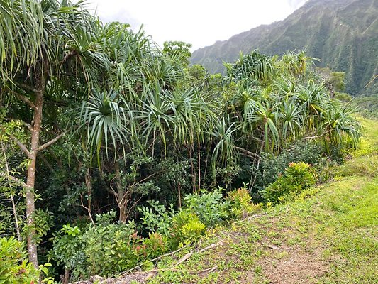 th IMG 2444 th IMG 2444