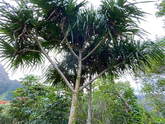 th IMG 2322 th IMG 2322