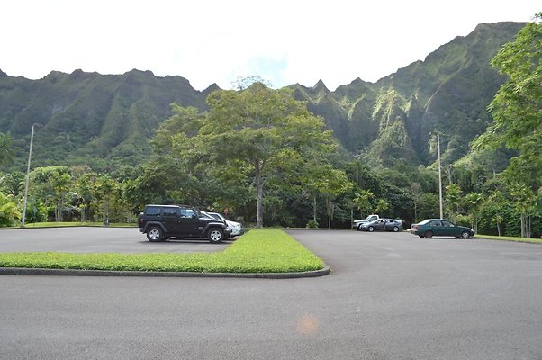 th DSC 0488 th DSC 0488