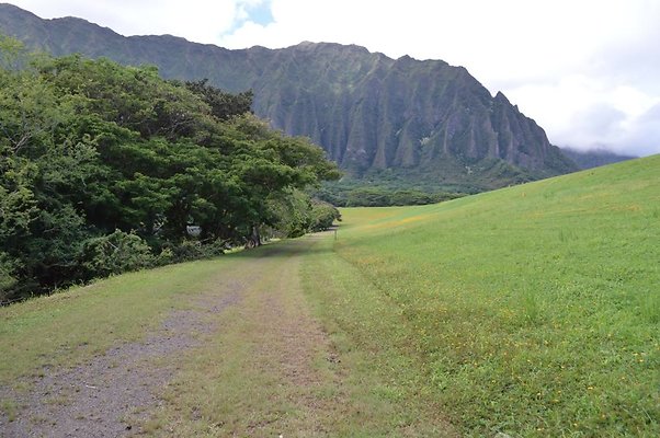 th DSC 0482 th DSC 0482