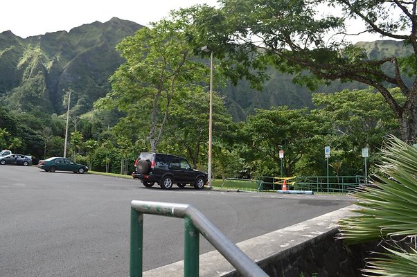 th DSC 0489 th DSC 0489