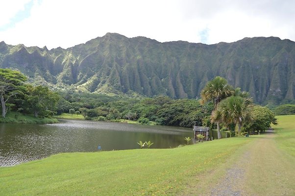 th DSC 0486 th DSC 0486