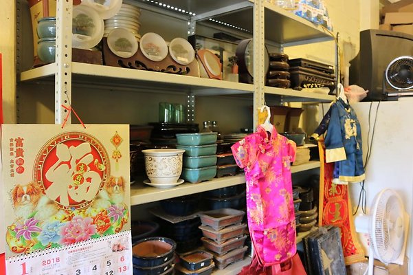 th IMG 1924 th IMG 1924