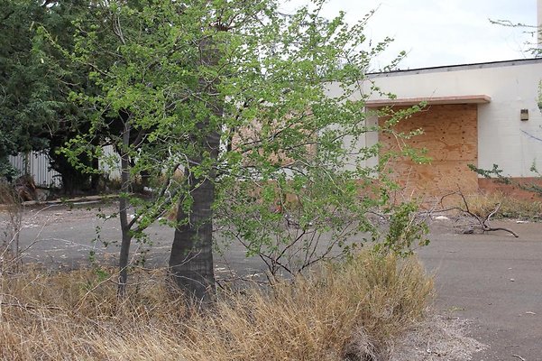 th IMG 0733 th IMG 0733