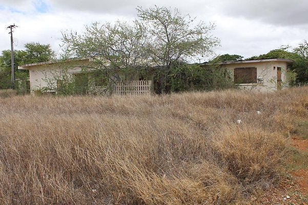 th IMG 0732 th IMG 0732