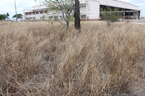 th IMG 0720 th IMG 0720