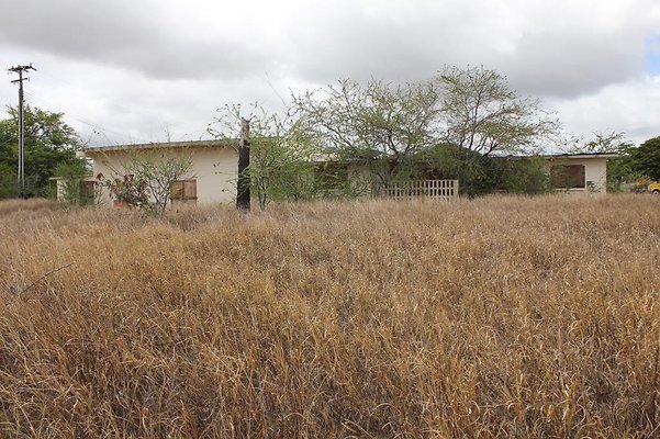 th IMG 0731 th IMG 0731