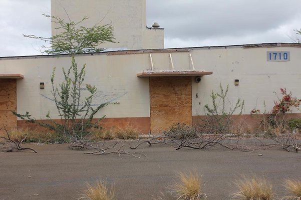 th IMG 0734 th IMG 0734