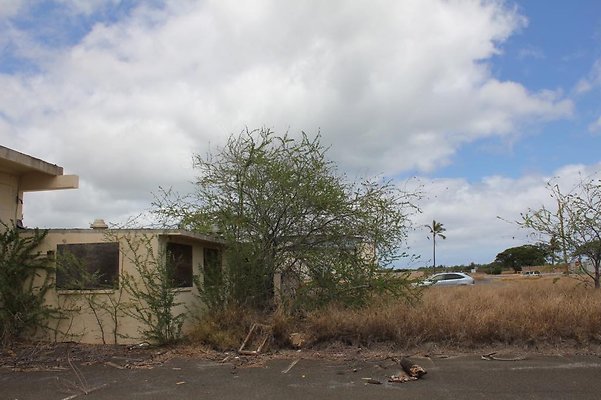 th IMG 0727 th IMG 0727