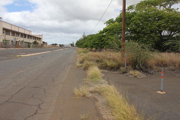 th IMG 0729 th IMG 0729