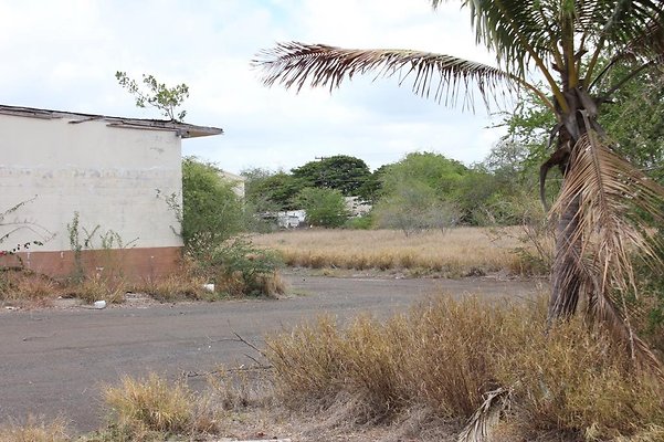 th IMG 0735 th IMG 0735