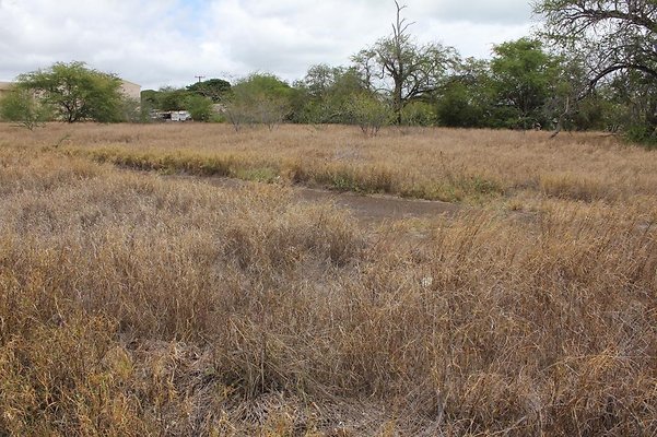 th IMG 0738 th IMG 0738