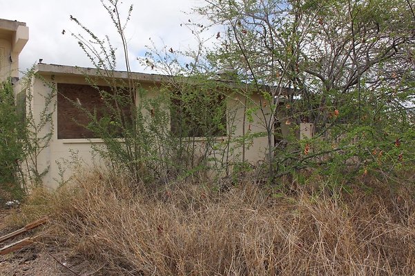 th IMG 0719 th IMG 0719