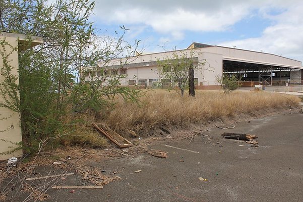 th IMG 0722 th IMG 0722