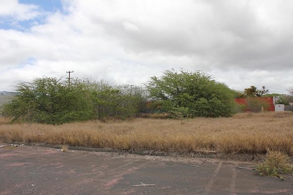 th IMG 0742 th IMG 0742