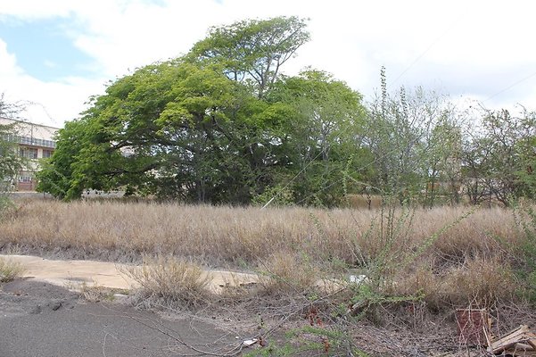 th IMG 0724 th IMG 0724