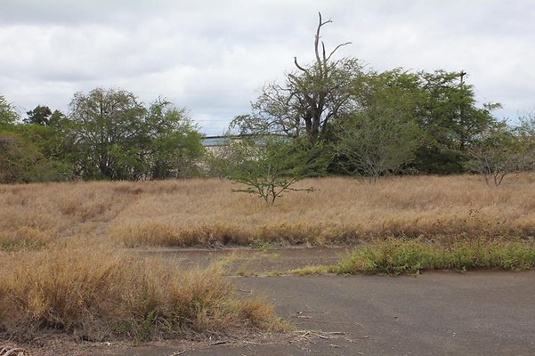 th IMG 0743 th IMG 0743