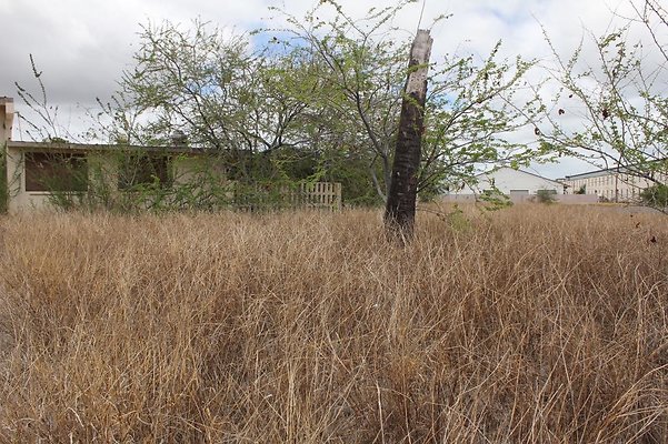 th IMG 0728 th IMG 0728