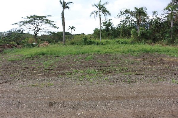 th IMG 0093 th IMG 0093