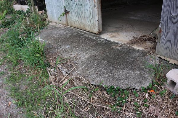 th IMG 0091 th IMG 0091