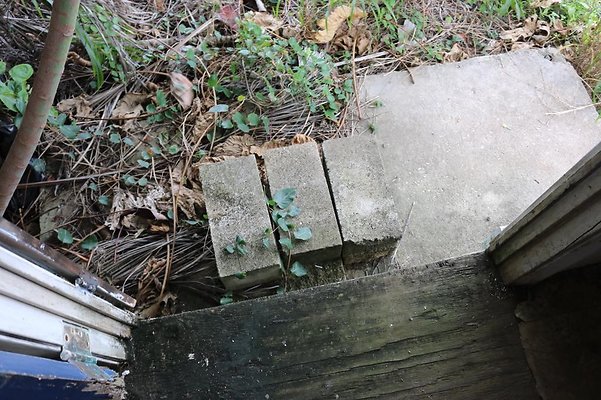 th IMG 0161 th IMG 0161