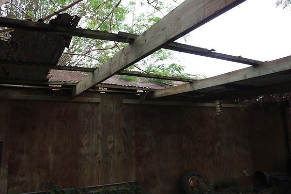 th IMG 0125 th IMG 0125