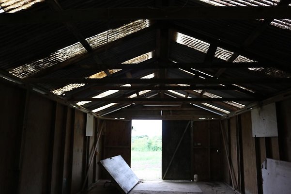 th IMG 0112 th IMG 0112