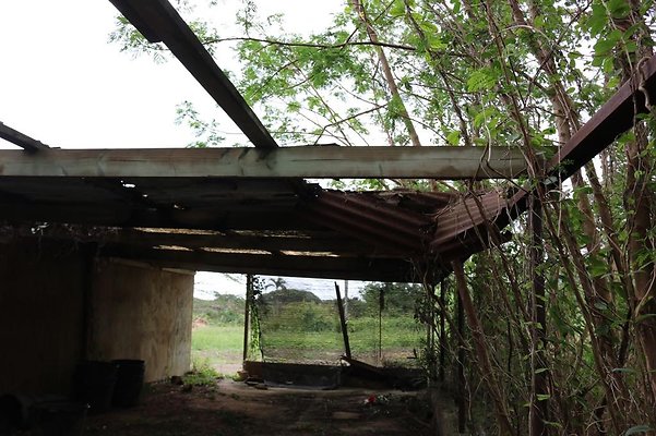 th IMG 0126 th IMG 0126