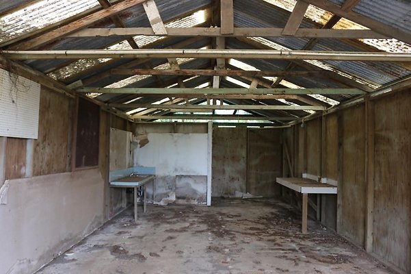 th IMG 0113 th IMG 0113