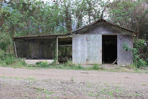 th IMG 0083 th IMG 0083