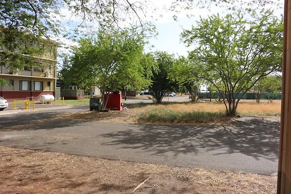 th IMG 0062 th IMG 0062