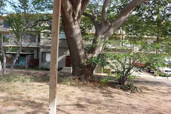 th IMG 0061 th IMG 0061