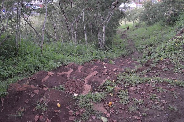 th DSC 0589 th DSC 0589