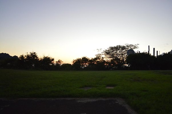 th DSC 0594 th DSC 0594