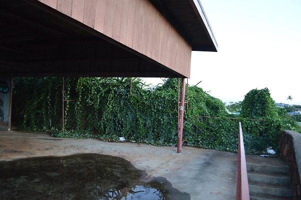 th DSC 0578 th DSC 0578