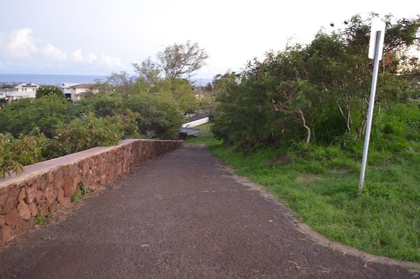 th DSC 0595 th DSC 0595