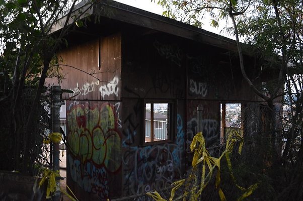 th DSC 0598 th DSC 0598