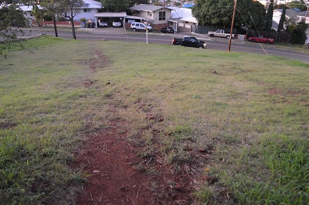 th DSC 0600 th DSC 0600