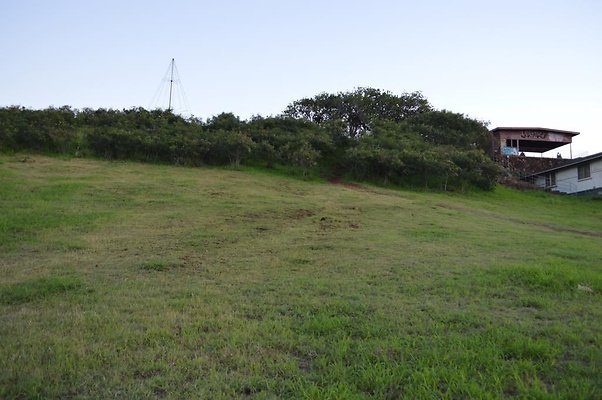 th DSC 0548 th DSC 0548