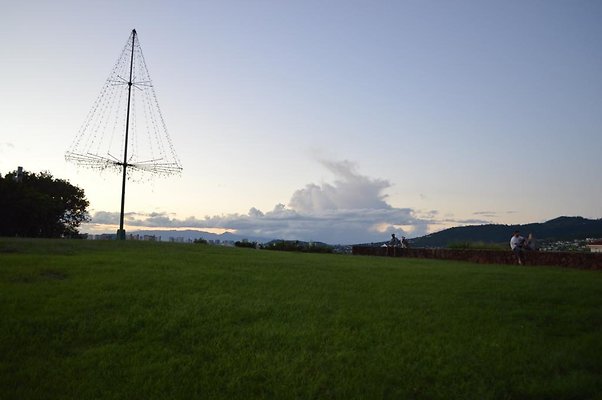 th DSC 0593 th DSC 0593