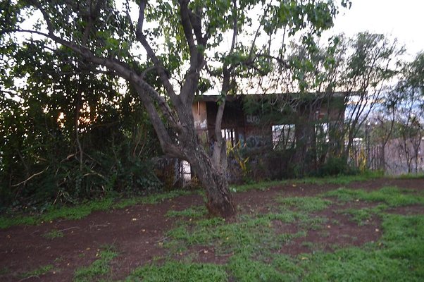 th DSC 0565 th DSC 0565