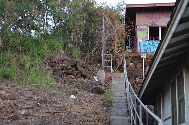 th DSC 0555 th DSC 0555