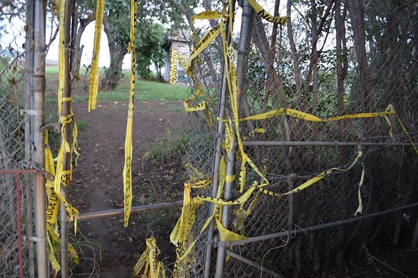 th DSC 0582 th DSC 0582