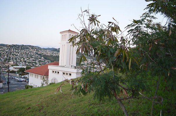 th DSC 0561 th DSC 0561